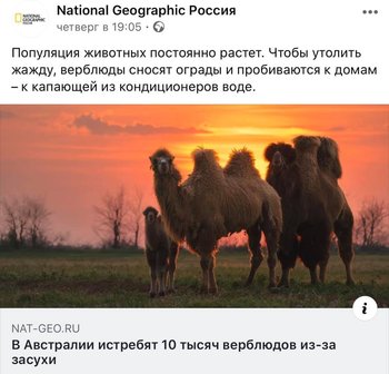 D3AD94AA-A3A7-431F-B96C-B9E541844C40.jpeg