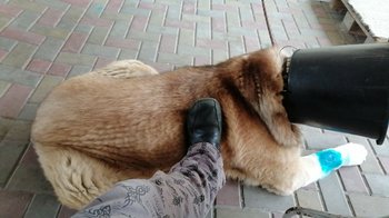 IMG_20200113_144009_524.jpg