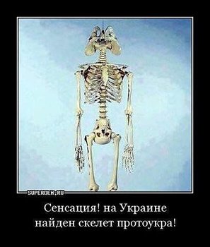 ,ло.jpg