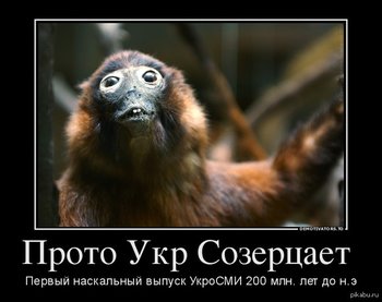 1401563656_674871825.jpg