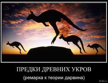1407175051_636288460.jpg