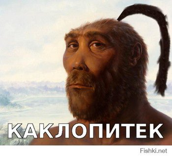 a74a62dbae595b01a6c4c3f9e67a2f54.jpg