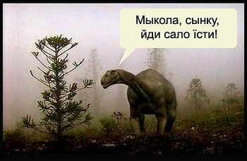 image (5).jpg