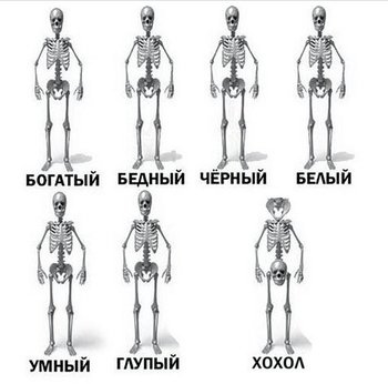 гж.jpg