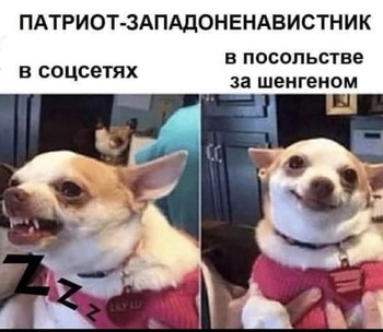 74ADB65D-295E-4956-99D3-096401D49217.jpeg