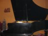 CIMG0723.JPG