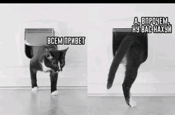 C8381542-051E-4039-8DD5-C1E746D61301.jpeg