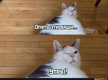 A0BB7ED9-4AFB-46B7-8F28-20331BCAB6D7.jpeg