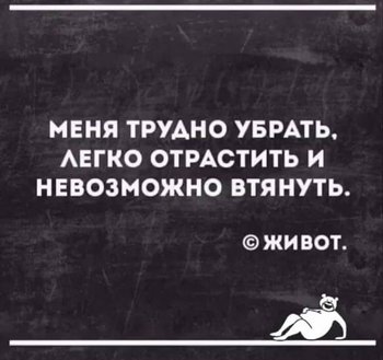 0AD88306-EAB3-4BAF-B9EA-2C88C3B322CE.jpeg