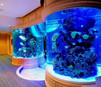 c5df5f63528411fff94fcb52fae2d4a4--tanked-aquariums-fish-aquariums.jpg