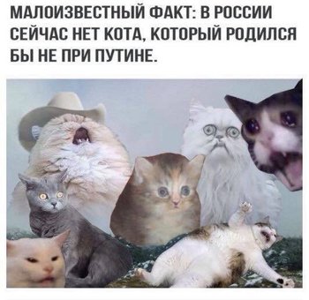 CCE041DB-3A54-4AD3-B129-DB20457C5691.jpeg