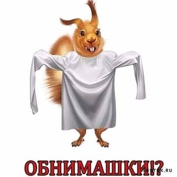 3F63C646-FDF8-402F-B537-FE242ADE8A86.jpeg