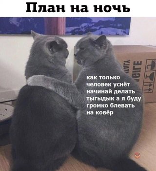 A4259B42-2CF3-4E8E-A630-78B89577B62D.jpeg