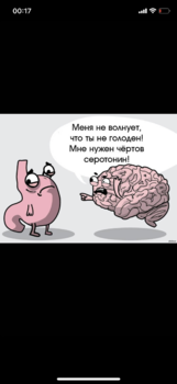 395BB611-2BFC-4B46-987D-1835AC121584.png