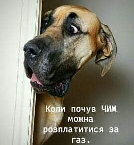 IMG_20200203_114044_340.jpg