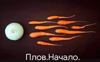 342219CF-57FF-44F3-BB02-04AF061E673D.jpeg