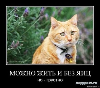 C92BFF22-8849-462D-A9F5-56BDE2D7CEB8.jpeg