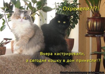 707229.jpg
