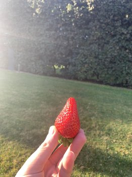 87C2EF5F-E3AE-460A-A58F-15D4B68BA8AF.jpeg
