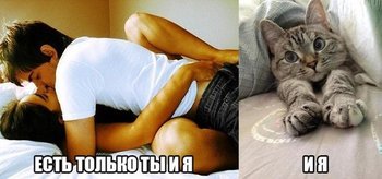 FCF37473-DB80-4151-B7A9-24EA5B2C13D4.jpeg