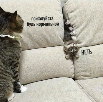 FB_IMG_1583840859953.jpg