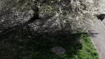 IMG_20200316_111451.jpg