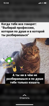 769D8566-C675-4525-8D43-D7E5611E48F6.png