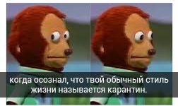 14107694.jpg