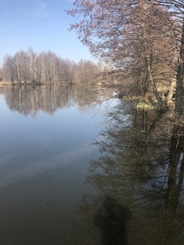 4C8E74DC-EA43-49E8-8E6C-7A3D2F0259CF.jpeg