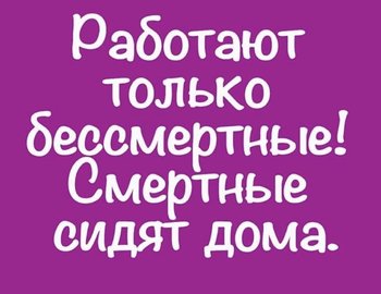 AF3B3516-5B3B-4BA2-81A7-A2F6EFD4A87D.jpeg