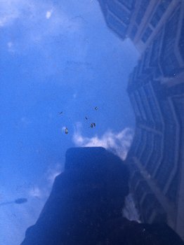 F2AB3ED5-6D94-42B9-AB21-6A418B3B5518.jpeg