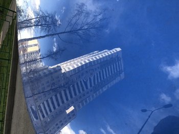 55D46DE5-0679-40AA-A59F-B53DB2AB95F0.jpeg