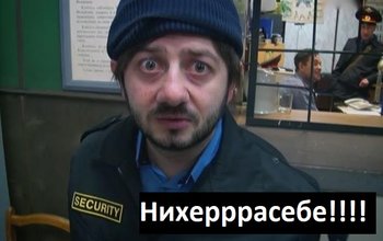 1377476.jpeg