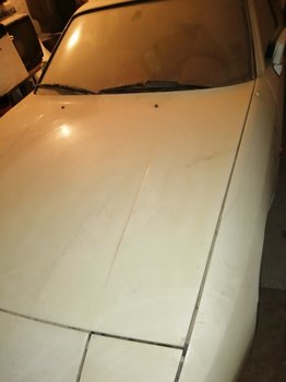 CAC88DE5-A6DD-4AE0-8C7F-221C389E2C86.jpeg