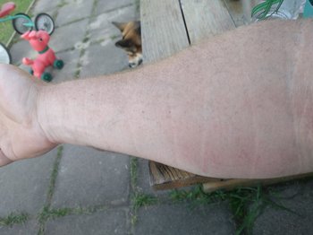 IMG_20200618_180108.jpg