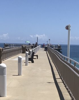 953B234C-8FEE-4C24-801D-3F3B2EE557D1.jpeg