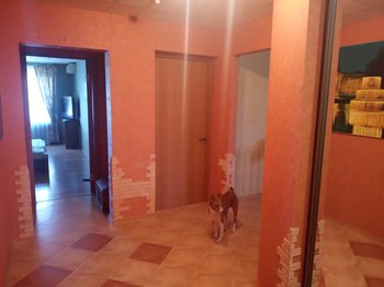 IMG_20200709_180810.jpg