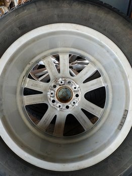 IMG_20200711_100528.jpg