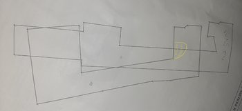20200717_165202.jpg