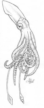 aad91e3f22f7400e235f9a1183b8ddab.jpg