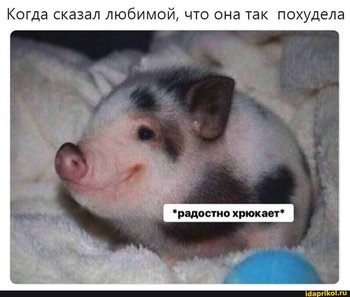 7808b3d94d2a58b71bf94a26955c2edb14f53a3d5e92ced6efdd5c9699af2982_1.jpg.jpg
