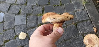 20200829_150927.jpg