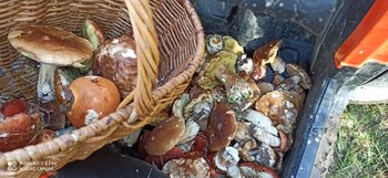 IMG_20200919_125540.jpg