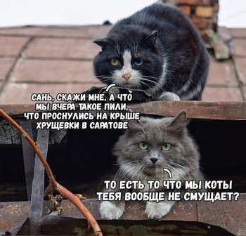 e4449f75e6ec.jpg