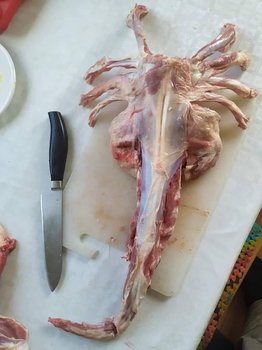 A9DB300C-DA02-4141-9AAB-CAA8CAD57943.jpeg