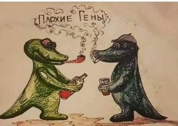 DE549111-695A-4A37-8172-2662BFD2E888.jpeg