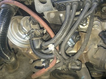 20201005_080455.jpg