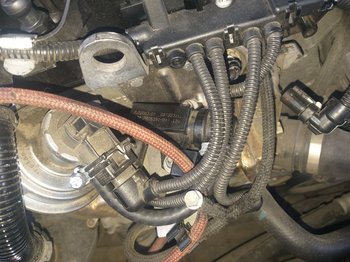 20201005_080507.jpg