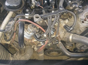 20201005_080514.jpg