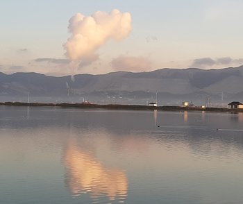 20201012_070015.jpg